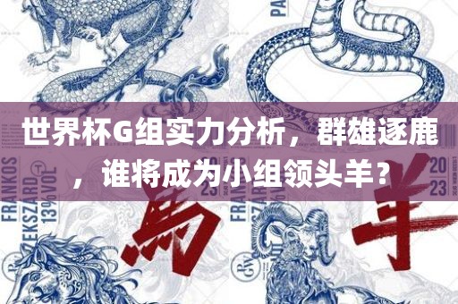 世界杯G组实力分析，群雄逐鹿，谁将成为小组领头羊？