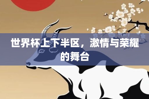 世界杯上下半区，激情与荣耀的舞台