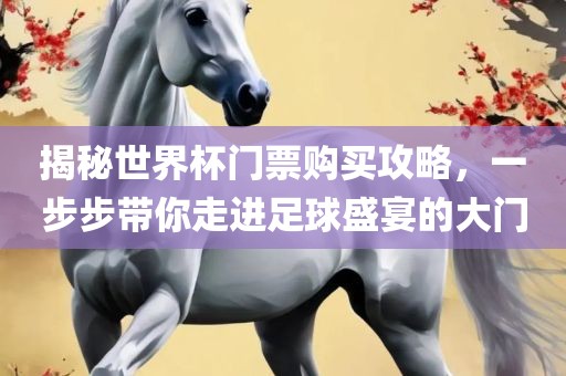 揭秘世界杯门票购买攻略，一步步带你走进足球盛宴的大门
