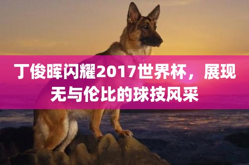 丁俊晖闪耀2017世界杯，展现无与伦比的球技风采