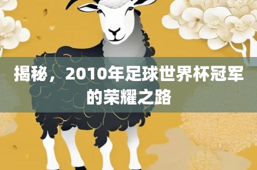 揭秘，2010年足球世界杯冠军的荣耀之路