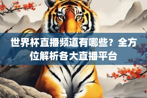世界杯直播频道有哪些？全方位解析各大直播平台