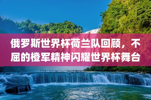 俄罗斯世界杯荷兰队回顾，不屈的橙军精神闪耀世界杯舞台