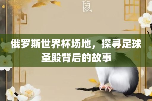 俄罗斯世界杯场地，探寻足球圣殿背后的故事