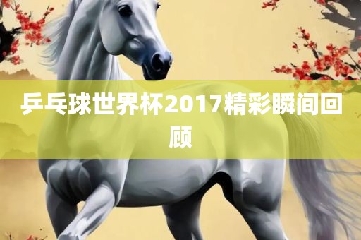 乒乓球世界杯2017精彩瞬间回顾