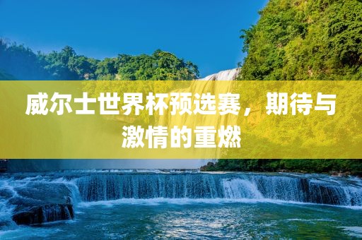威尔士世界杯预选赛，期待与激情的重燃