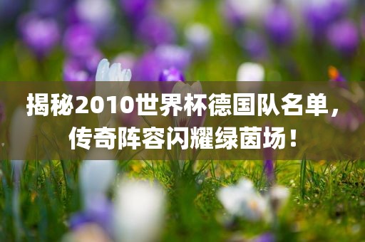 揭秘2010世界杯德国队名单，传奇阵容闪耀绿茵场！