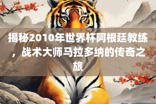 揭秘2010年世界杯阿根廷教练，战术大师马拉多纳的传奇之旅