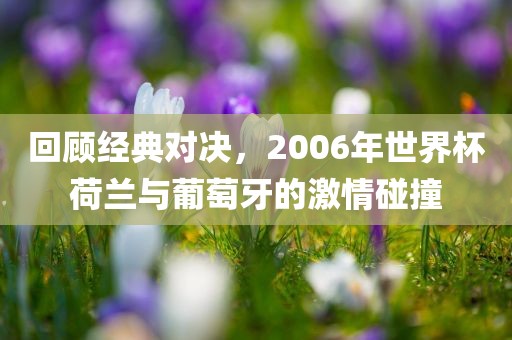 回顾经典对决，2006年世界杯荷兰与葡萄牙的激情碰撞