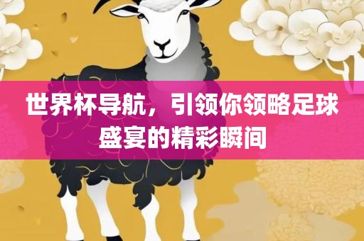世界杯导航，引领你领略足球盛宴的精彩瞬间
