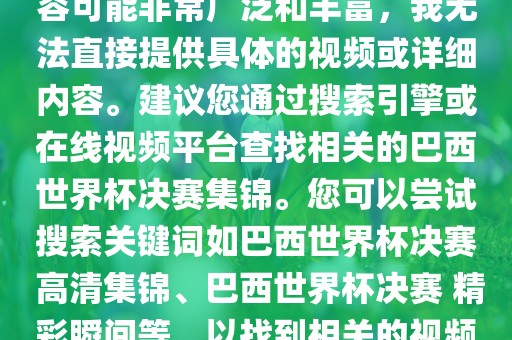 由于巴西世界杯决赛集锦的内容可能非常广泛和丰富，我无法直接提供具体的视频或详细内容。建议您通过搜索引擎或在线视频平台查找相关的巴西世界杯决赛集锦。您可以尝试搜索关键词如巴西世界杯决赛 高清集锦、巴西世界杯决赛 精彩瞬间等，以找到相关的视频和报道。