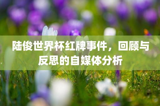 陆俊世界杯红牌事件，回顾与反思的自媒体分析
