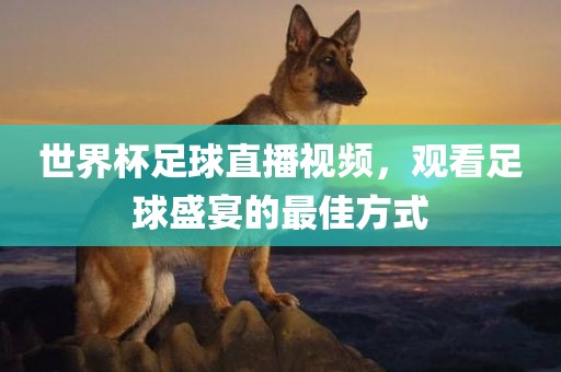 世界杯足球直播视频，观看足球盛宴的最佳方式