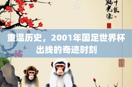 重温历史，2001年国足世界杯出线的奇迹时刻