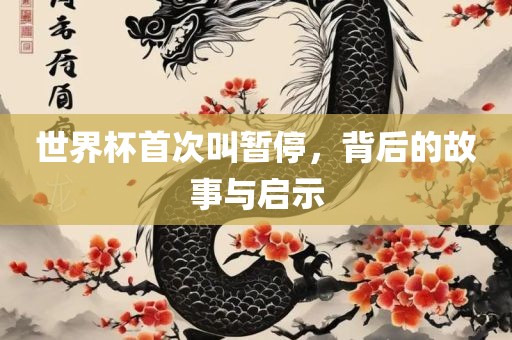 世界杯首次叫暂停，背后的故事与启示