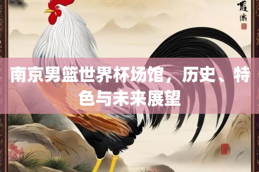 南京男篮世界杯场馆，历史、特色与未来展望