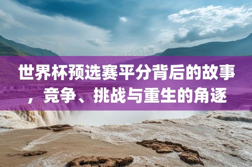世界杯预选赛平分背后的故事，竞争、挑战与重生的角逐