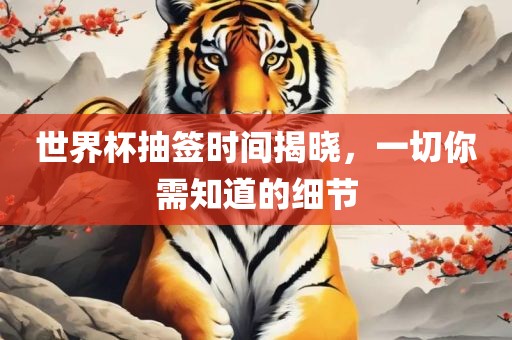 世界杯抽签时间揭晓，一切你需知道的细节