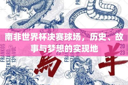 南非世界杯决赛球场，历史、故事与梦想的实现地