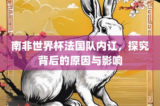 南非世界杯法国队内讧，探究背后的原因与影响