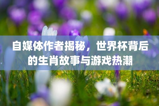 自媒体作者揭秘，世界杯背后的生肖故事与游戏热潮