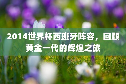 2014世界杯西班牙阵容，回顾黄金一代的辉煌之旅