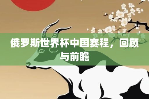俄罗斯世界杯中国赛程，回顾与前瞻