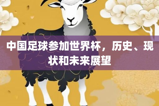 中国足球参加世界杯，历史、现状和未来展望