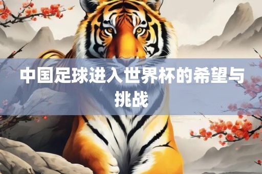 中国足球进入世界杯的希望与挑战