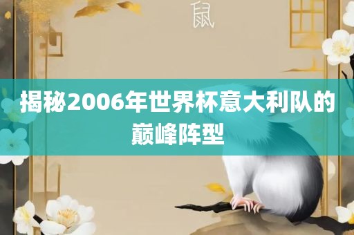 揭秘2006年世界杯意大利队的巅峰阵型