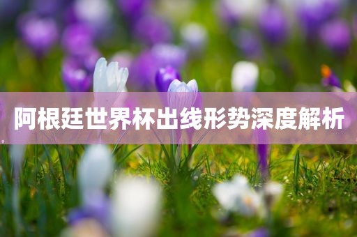 阿根廷世界杯出线形势深度解析