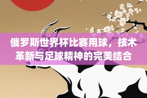 俄罗斯世界杯比赛用球，技术革新与足球精神的完美结合