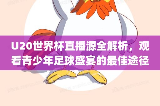 U20世界杯直播源全解析，观看青少年足球盛宴的最佳途径