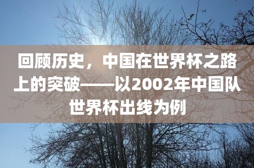 回顾历史，中国在世界杯之路上的突破——以2002年中国队世界杯出线为例