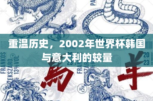 重温历史，2002年世界杯韩国与意大利的较量
