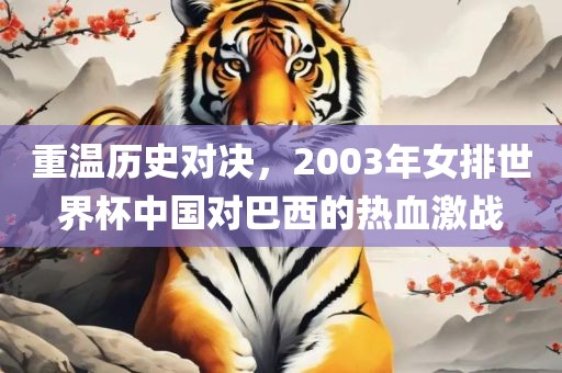 重温历史对决，2003年女排世界杯中国对巴西的热血激战