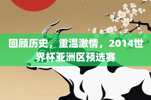 回顾历史，重温激情，2014世界杯亚洲区预选赛