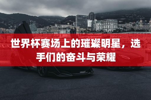 世界杯赛场上的璀璨明星，选手们的奋斗与荣耀