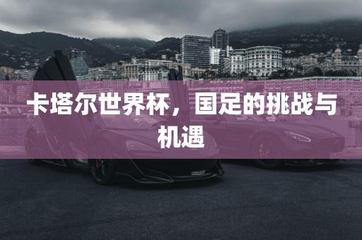 卡塔尔世界杯，国足的挑战与机遇