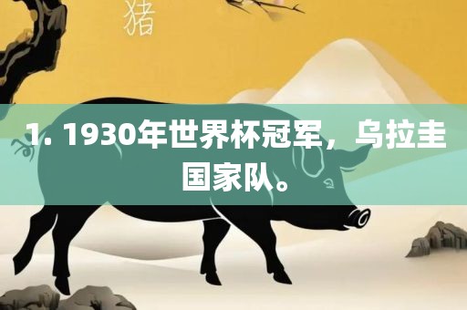 1. 1930年世界杯冠军，乌拉圭国家队。