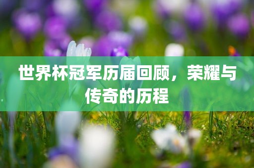 世界杯冠军历届回顾，荣耀与传奇的历程