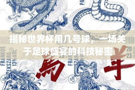 揭秘世界杯用几号球，一场关于足球盛宴的科技秘密