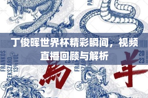 丁俊晖世界杯精彩瞬间，视频直播回顾与解析