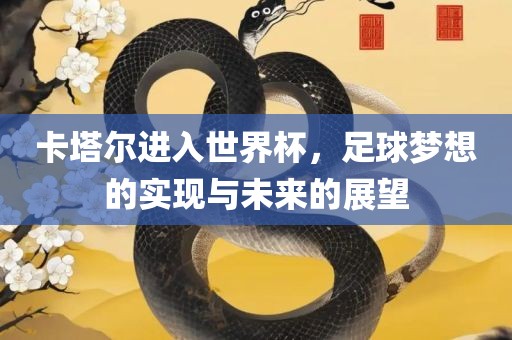 卡塔尔进入世界杯，足球梦想的实现与未来的展望