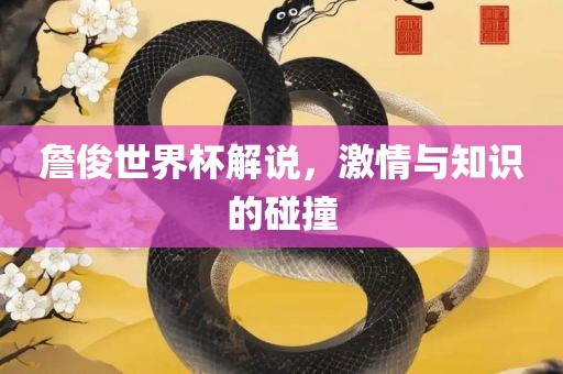 詹俊世界杯解说，激情与知识的碰撞