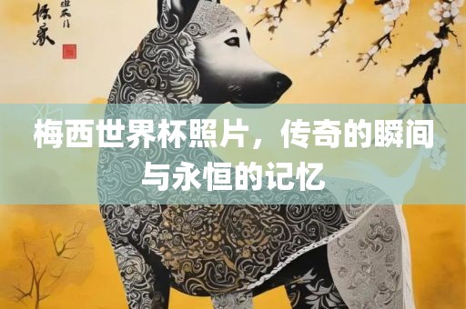 梅西世界杯照片，传奇的瞬间与永恒的记忆