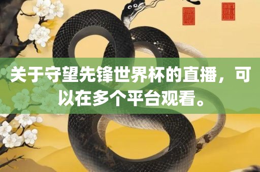 关于守望先锋世界杯的直播，可以在多个平台观看。