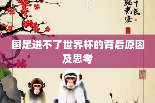 国足进不了世界杯的背后原因及思考