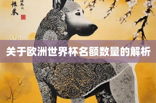 关于欧洲世界杯名额数量的解析