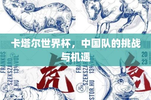 卡塔尔世界杯，中国队的挑战与机遇